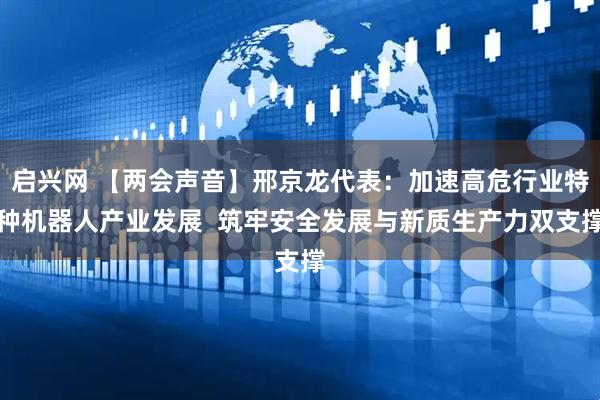 启兴网 【两会声音】邢京龙代表：加速高危行业特种机器人产业发展  筑牢安全发展与新质生产力双支撑