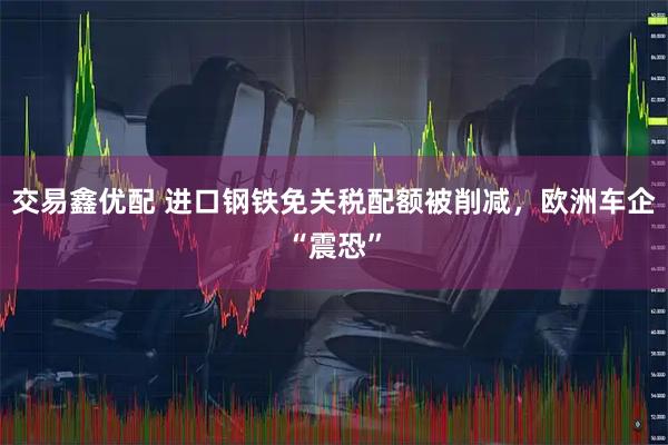 交易鑫优配 进口钢铁免关税配额被削减，欧洲车企“震恐”