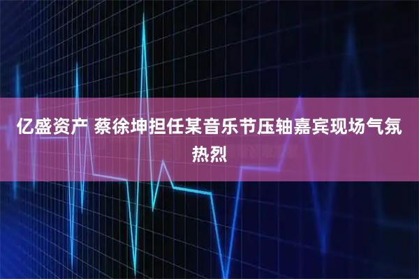亿盛资产 蔡徐坤担任某音乐节压轴嘉宾现场气氛热烈