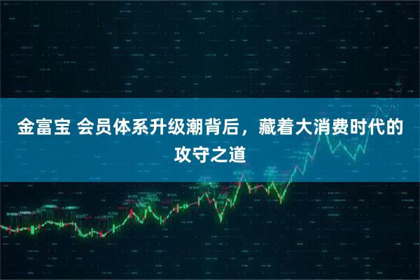 金富宝 会员体系升级潮背后，藏着大消费时代的攻守之道