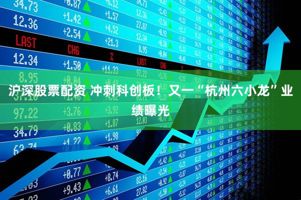 沪深股票配资 冲刺科创板！又一“杭州六小龙”业绩曝光