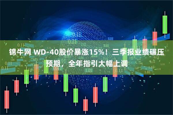 锦牛网 WD-40股价暴涨15%！三季报业绩碾压预期，全年指引大幅上调
